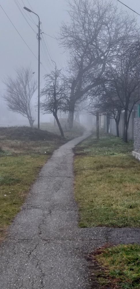 Фотография автора Елена Давидян
