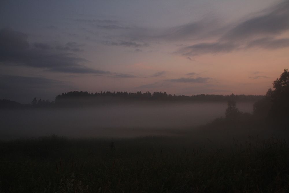 Photograph by 