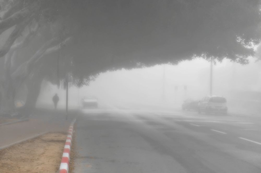 Фотография автора Dmitry