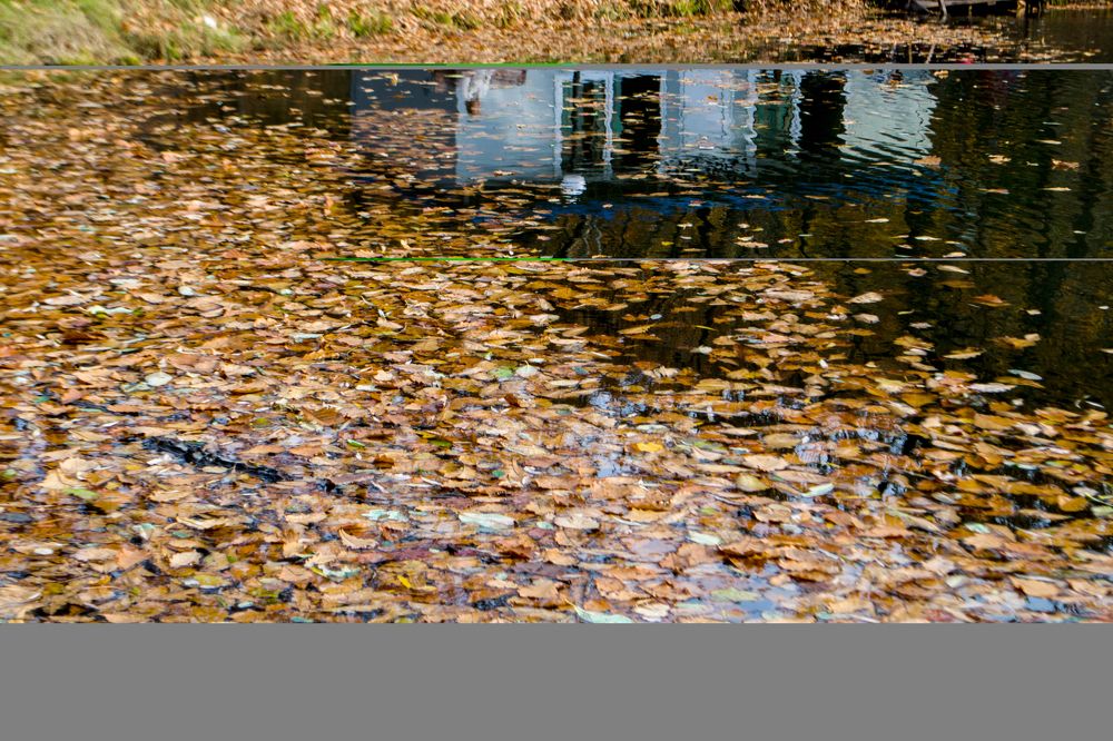 Photograph by Igor Savchenko