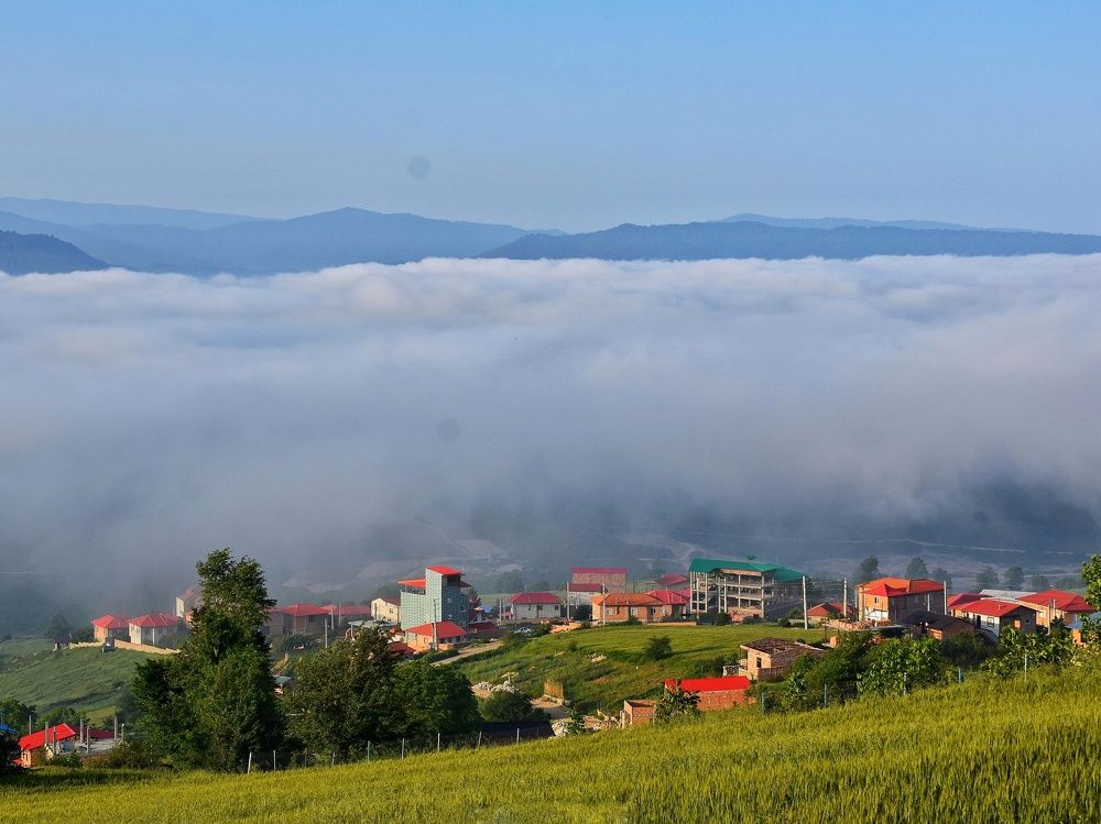 Photograph by seyyed mohammad andy