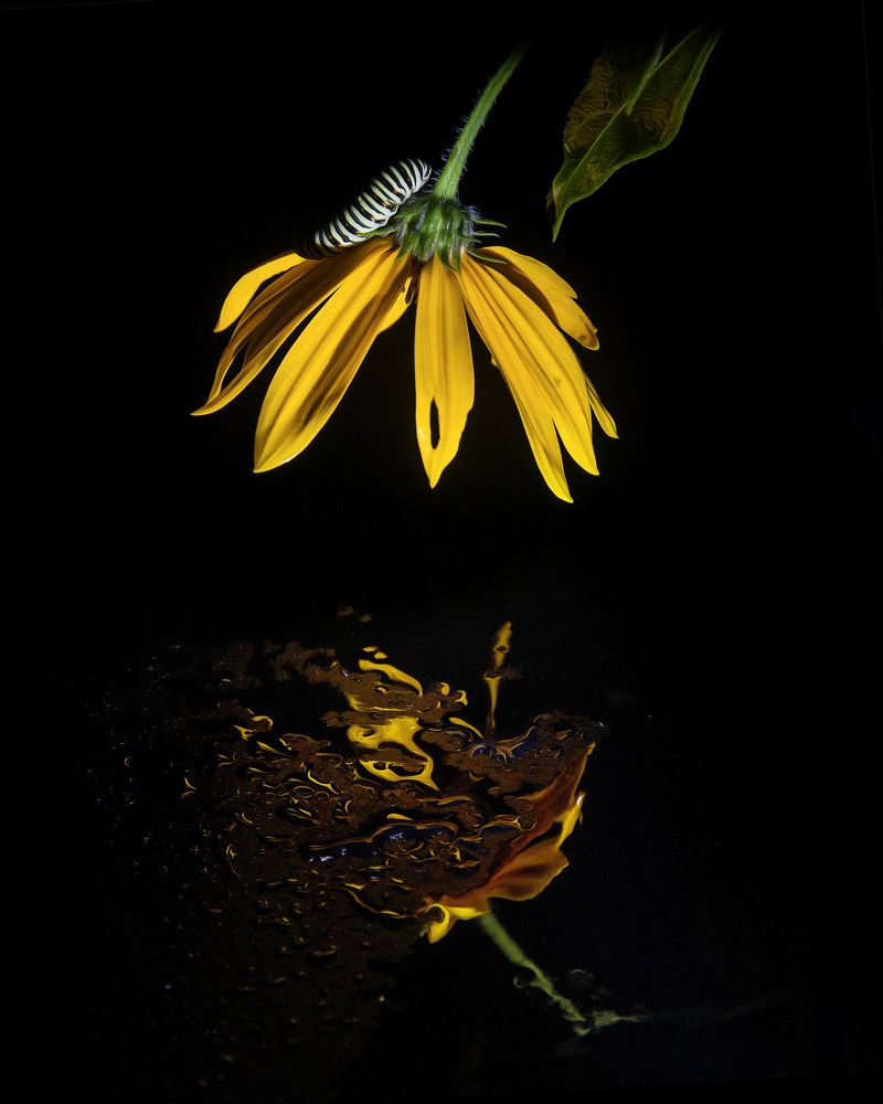 Photograph by Margarita