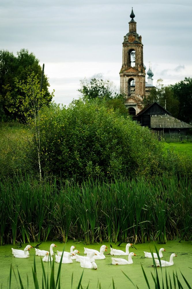 Photograph by Лемехов Иван