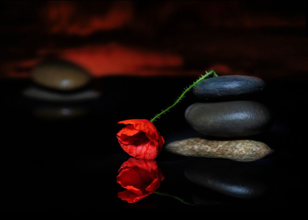 Photograph by Margarita