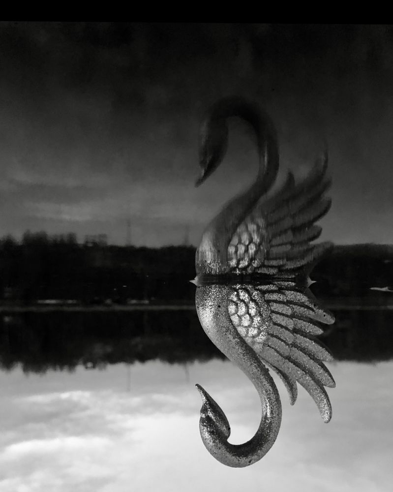 Photograph by Виктория Аксенова