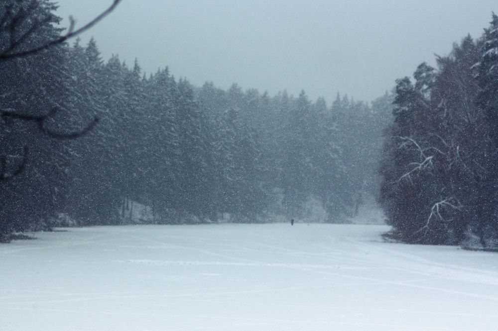 Photograph by Наталья