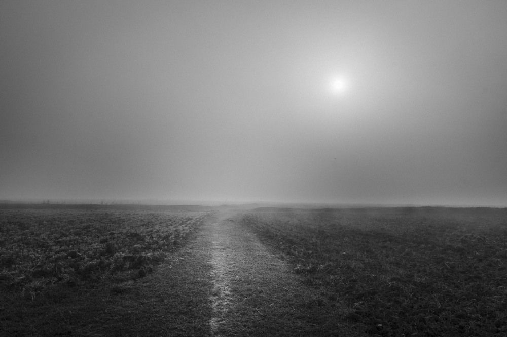 Фотография автора PRASHANT KUMAR DUBEY