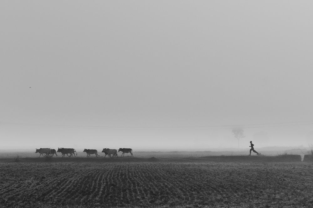 Фотография автора PRASHANT KUMAR DUBEY