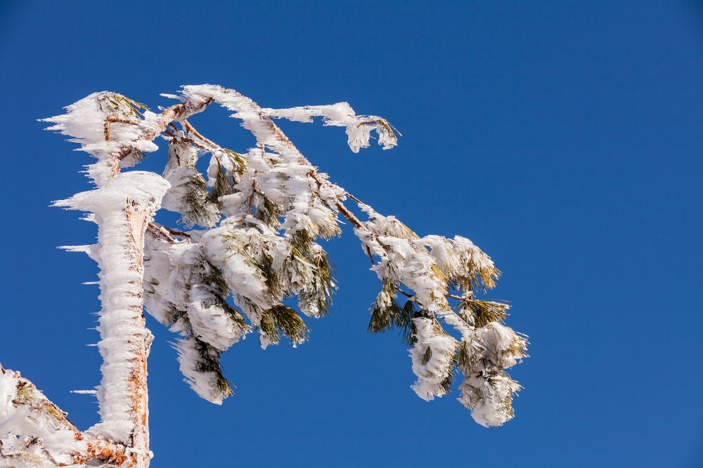 Photograph by Екатерина Щербакова