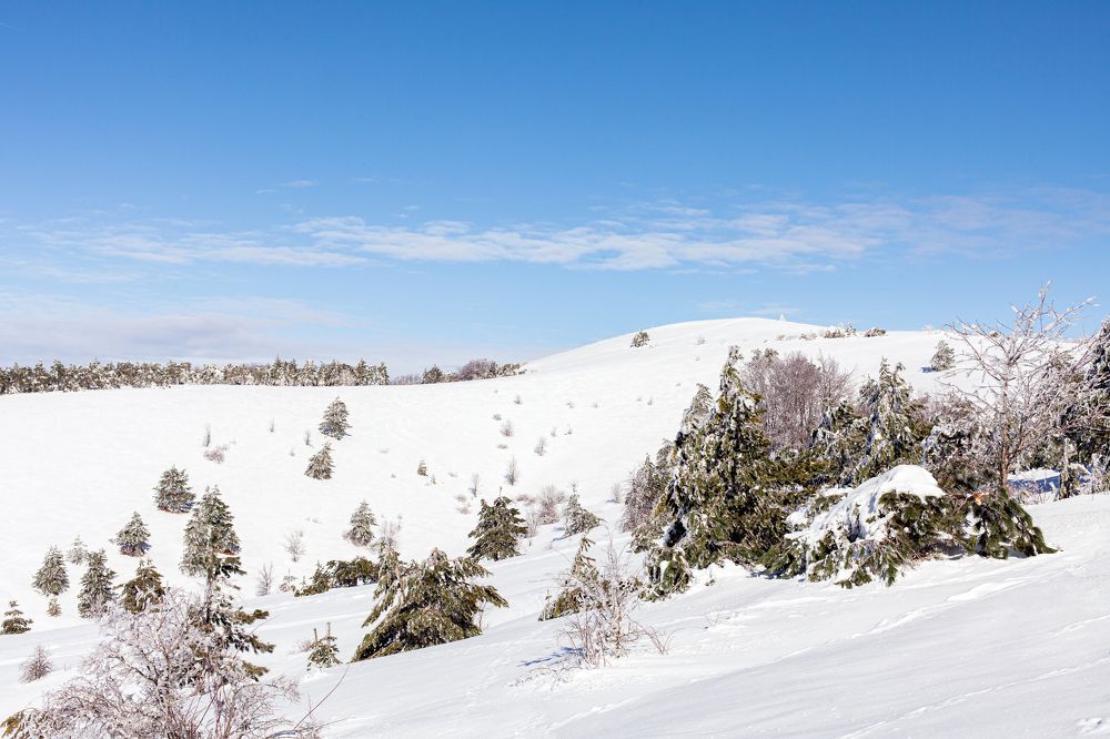 Photograph by Екатерина Щербакова