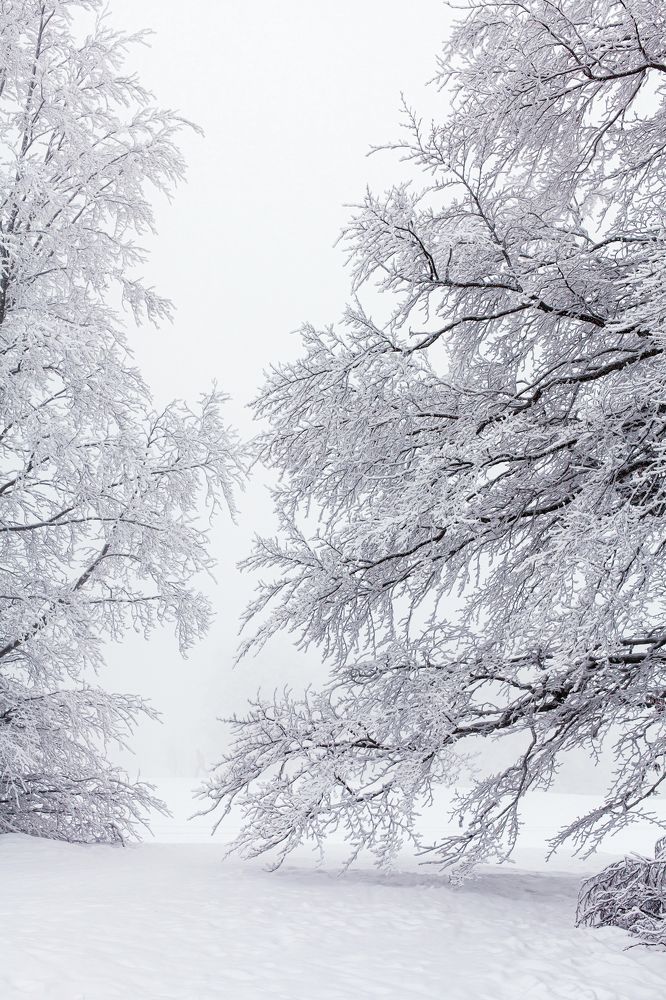 Photograph by Екатерина Щербакова