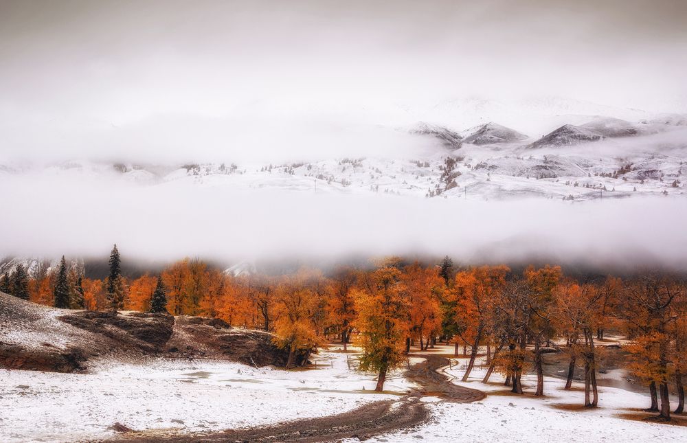 Photograph by lora_pavlova