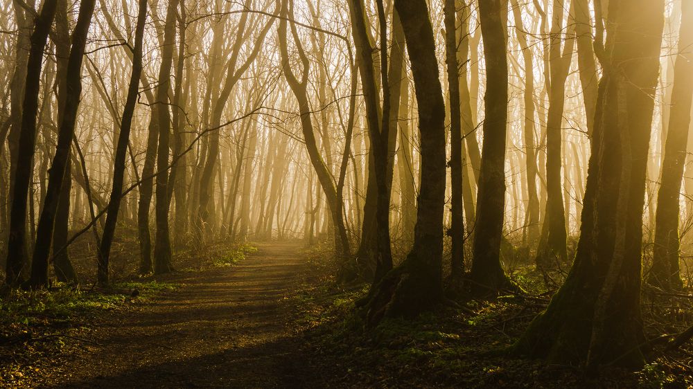 Фотография автора Максим