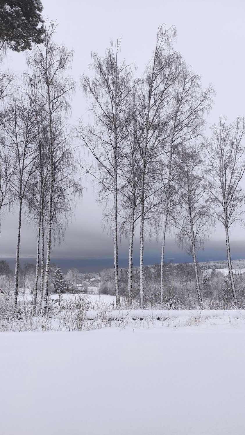 Photo #6908060