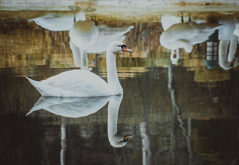 Photograph by Javad Feyz