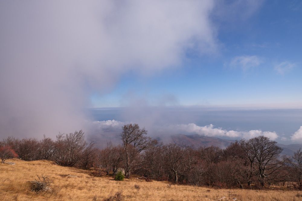 Photograph by Ирина