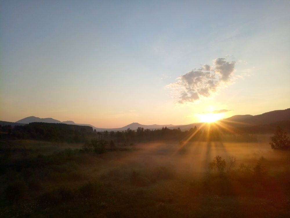 Photo #6908090