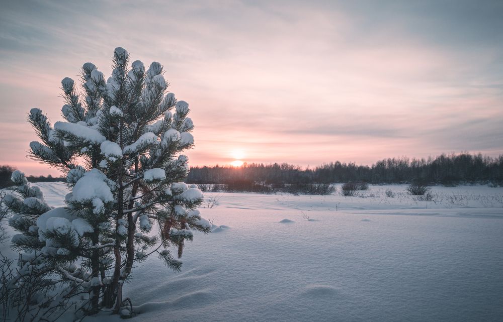 Photograph by Иван Мысов