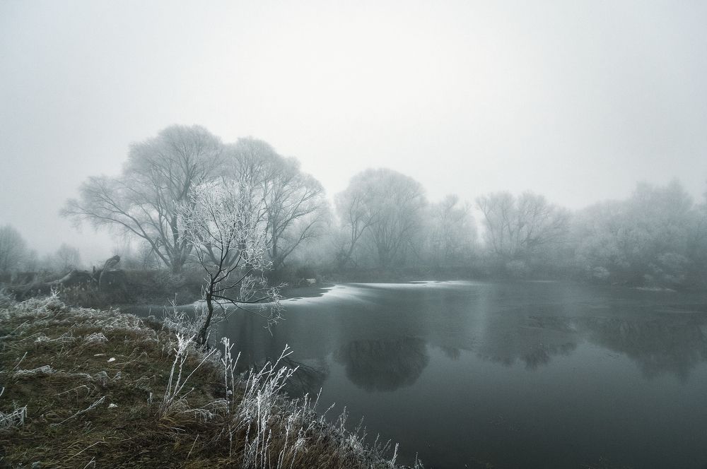 Туманный водоём
