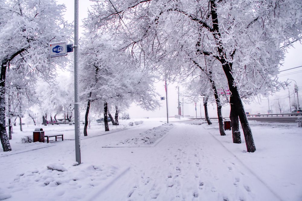 Photograph by Александр Пургин