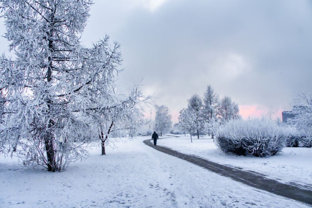 Photograph by Александр Пургин