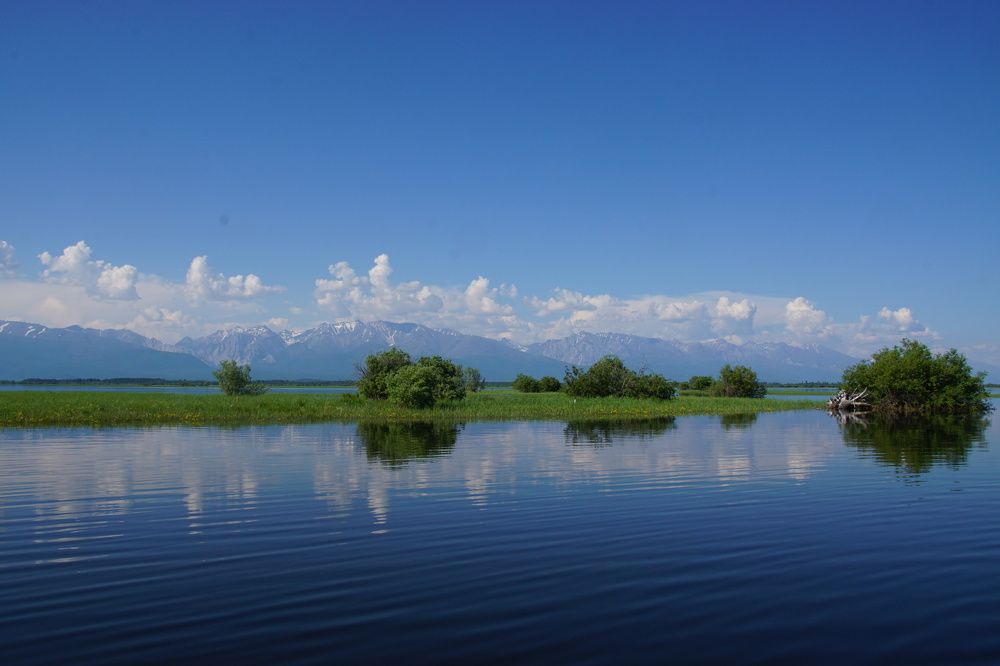 Photograph by фещук владимир