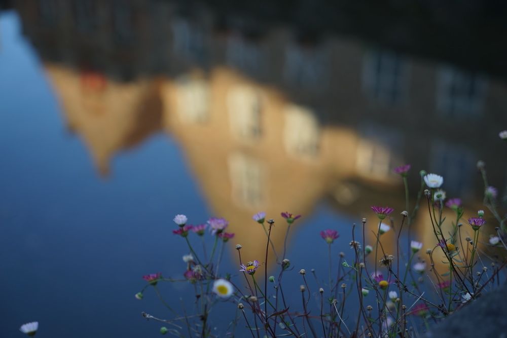 Photograph by Alexei Aedonitsky