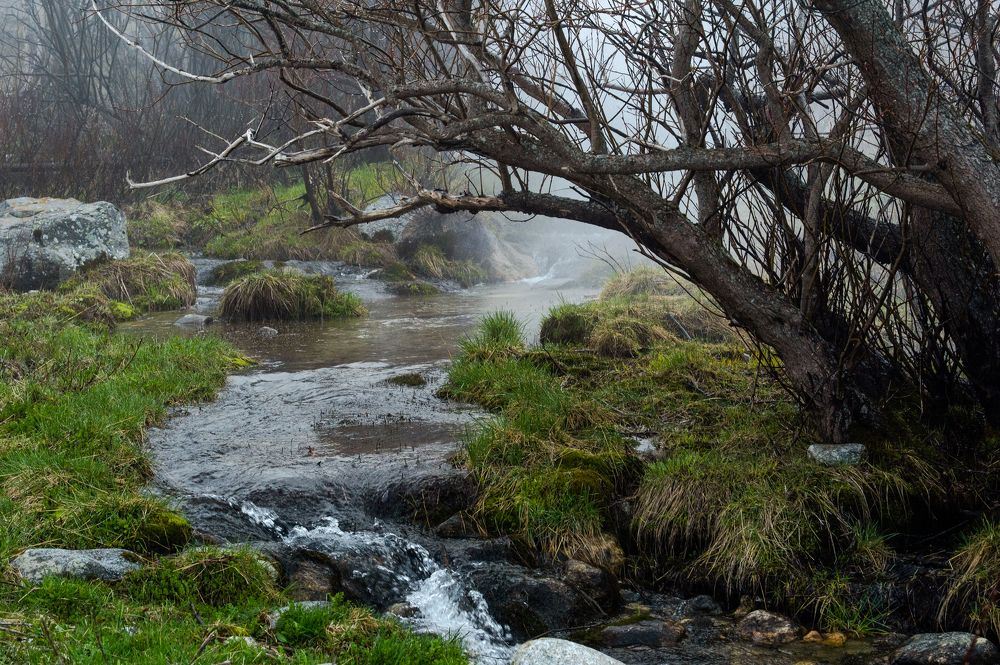 Photograph by РАСУЛ БОТАШЕВ