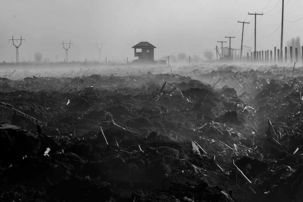 Photograph by РАСУЛ БОТАШЕВ