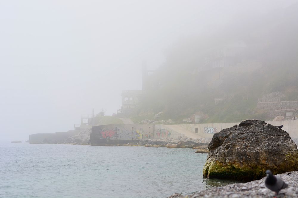 Photograph by Анатолий Орлов