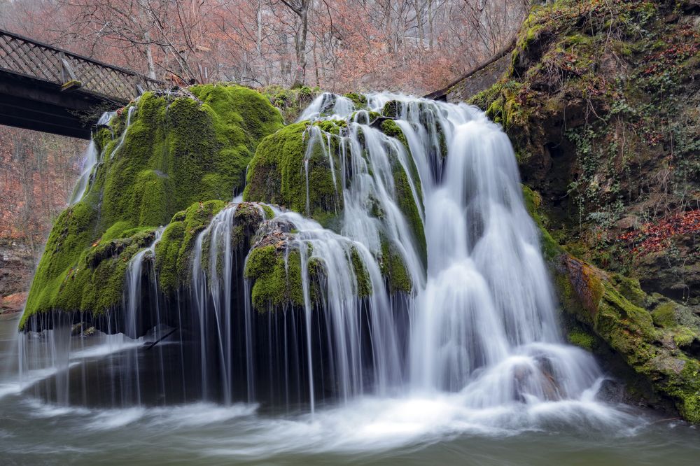 Photograph by Elena Biianu