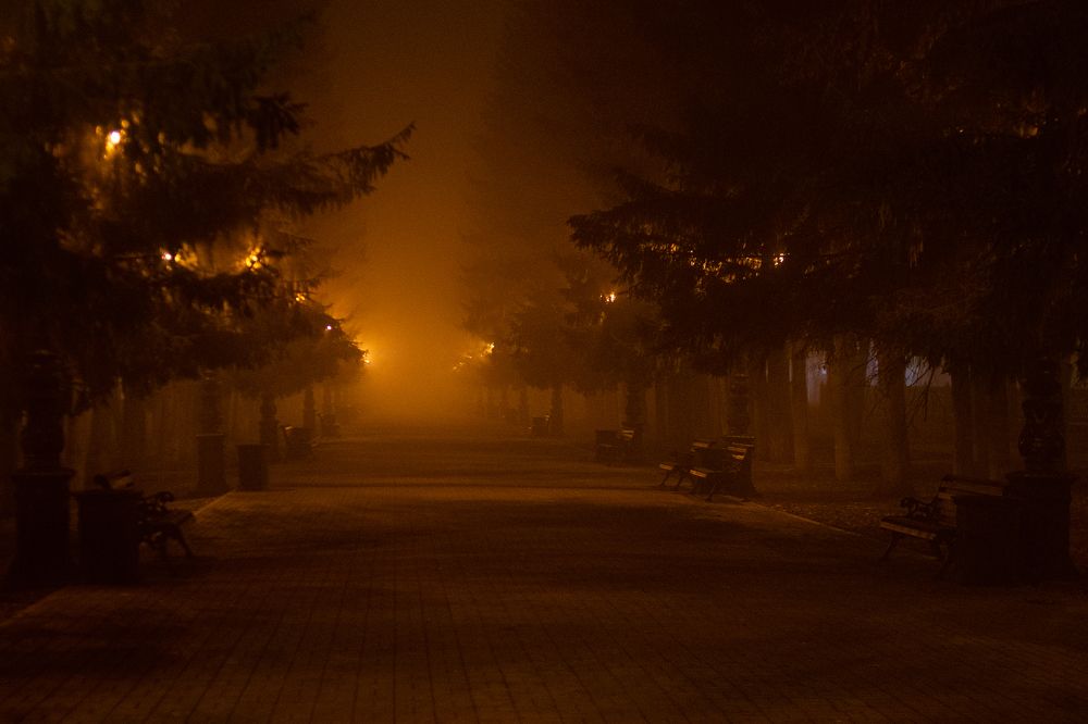 Photograph by Екатерина Семенова