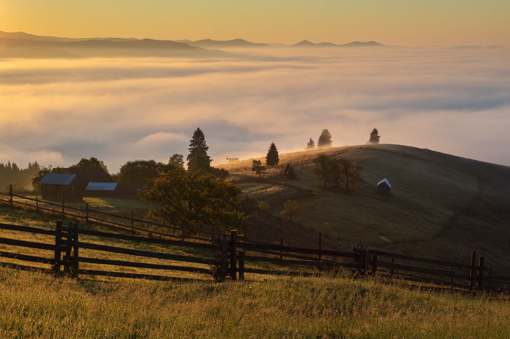 Photograph by Alex Coman