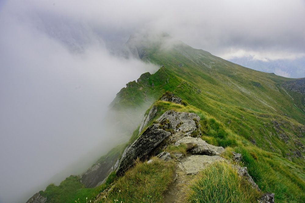 Photograph by Elena Biianu