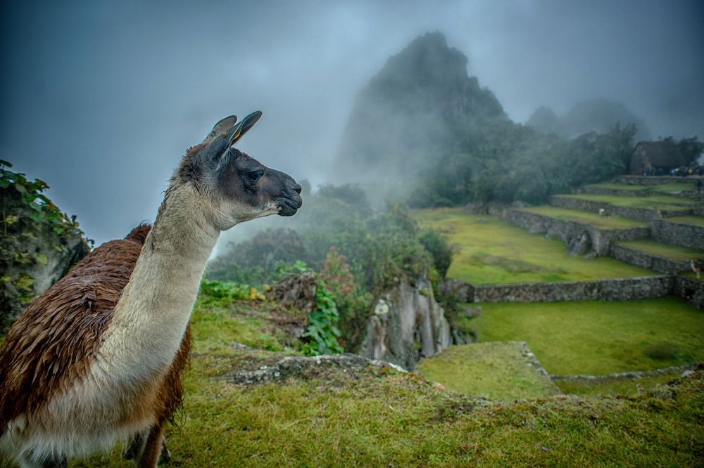 Photograph by Elena Biianu