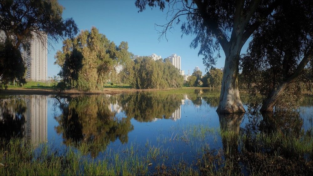 Photograph by Галина Гершман