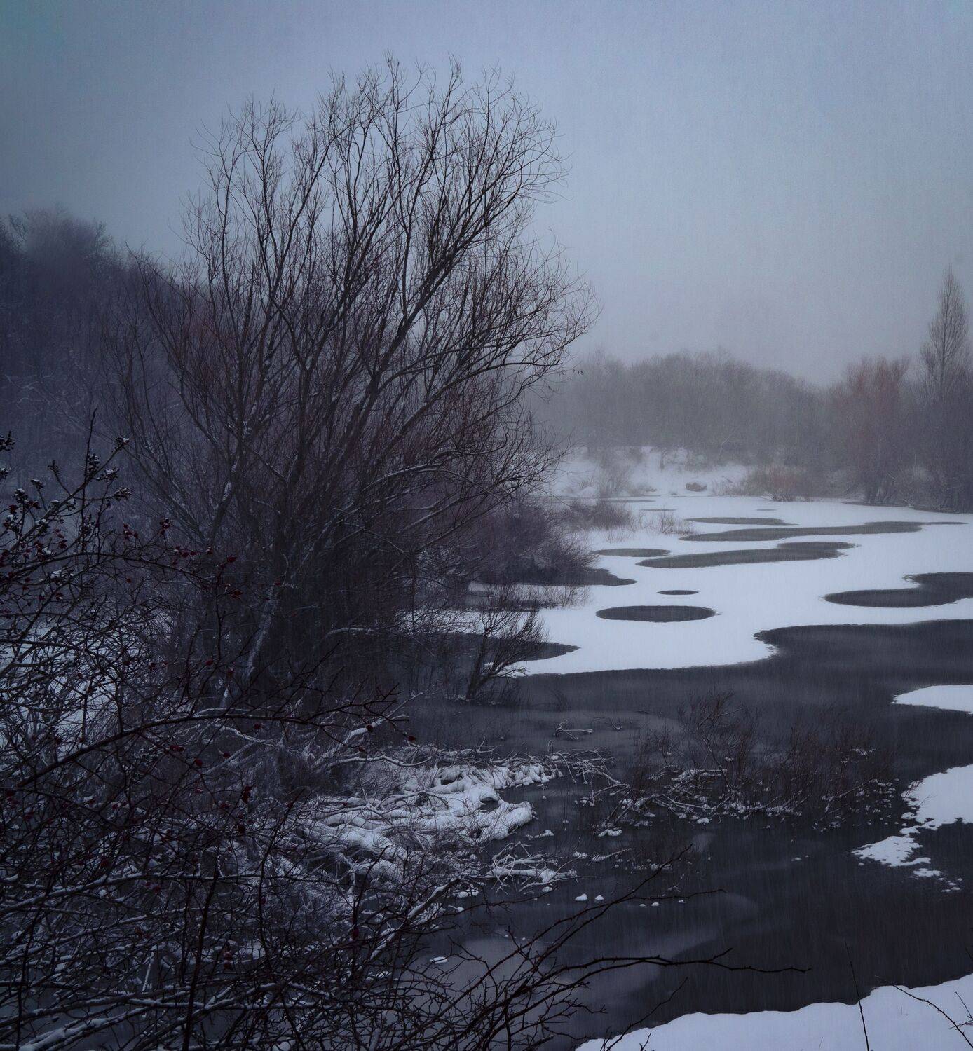 Photo #6908551