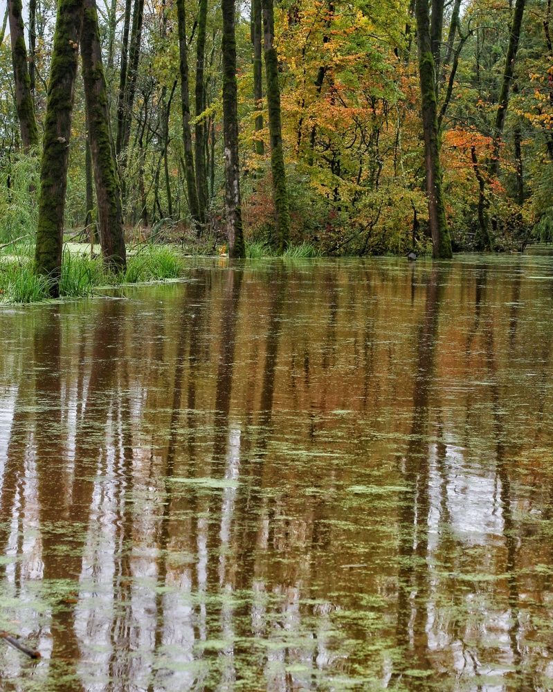 Photograph by Abolfazl Shahmiry