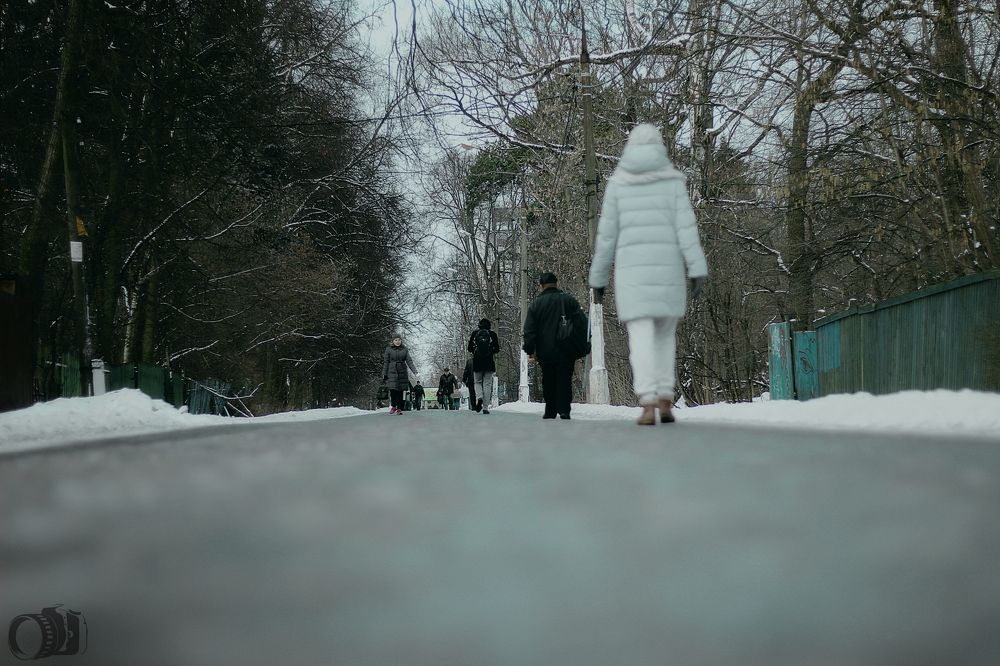 Photograph by Александр Лямцев