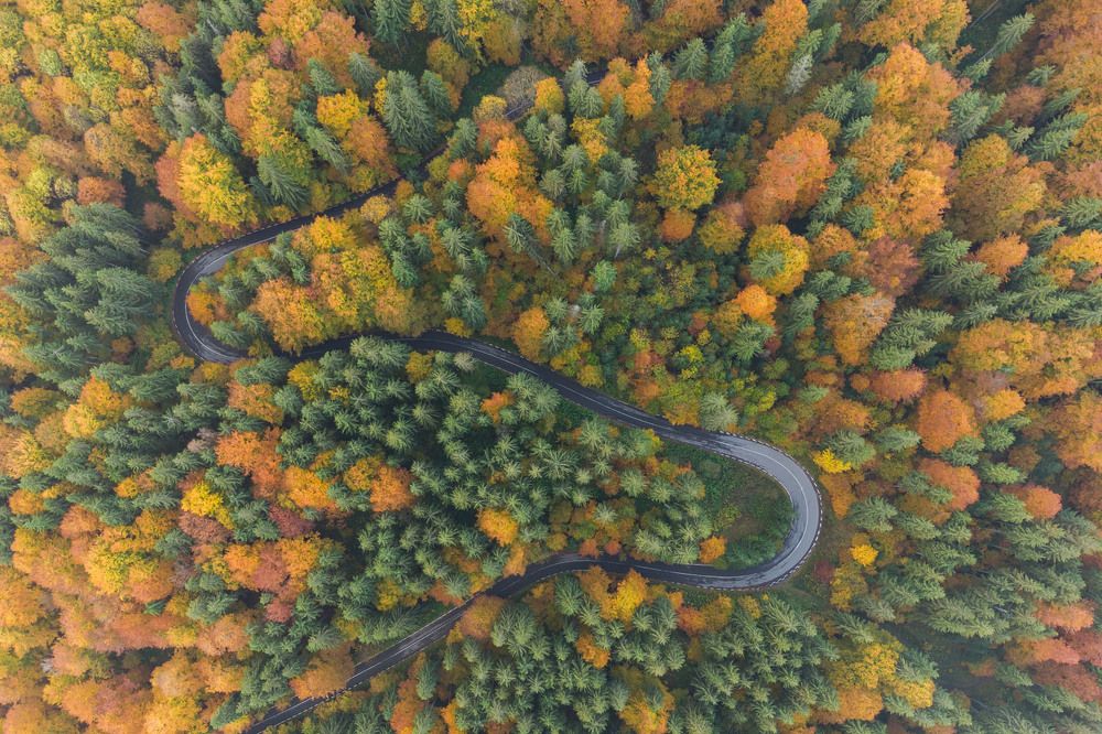 Photograph by Alex Coman