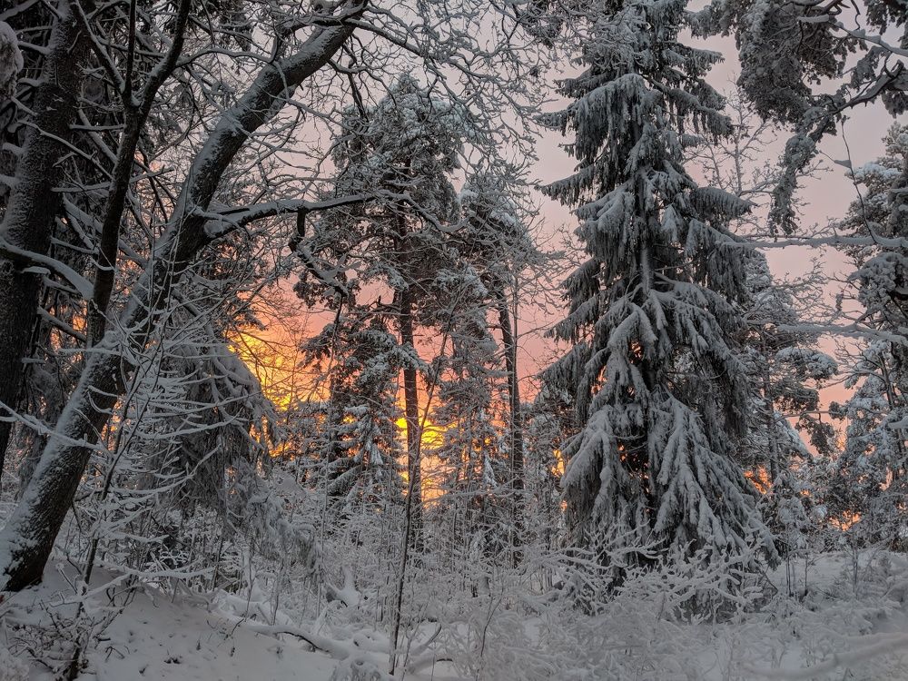 Photograph by Береславская Елена