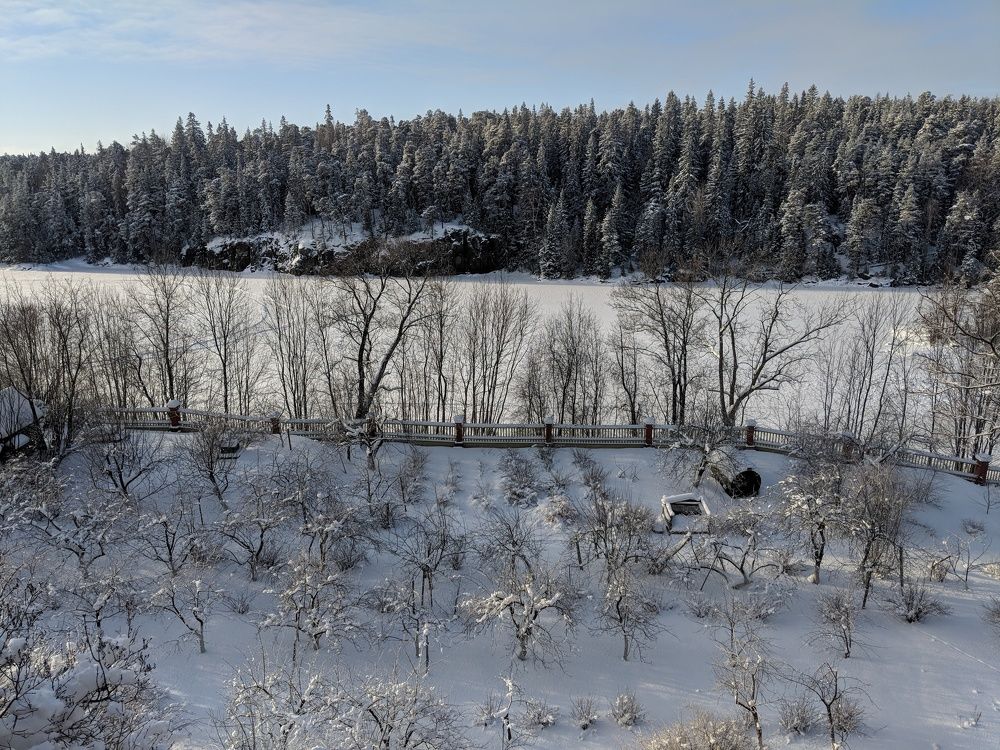 Photo #6908630