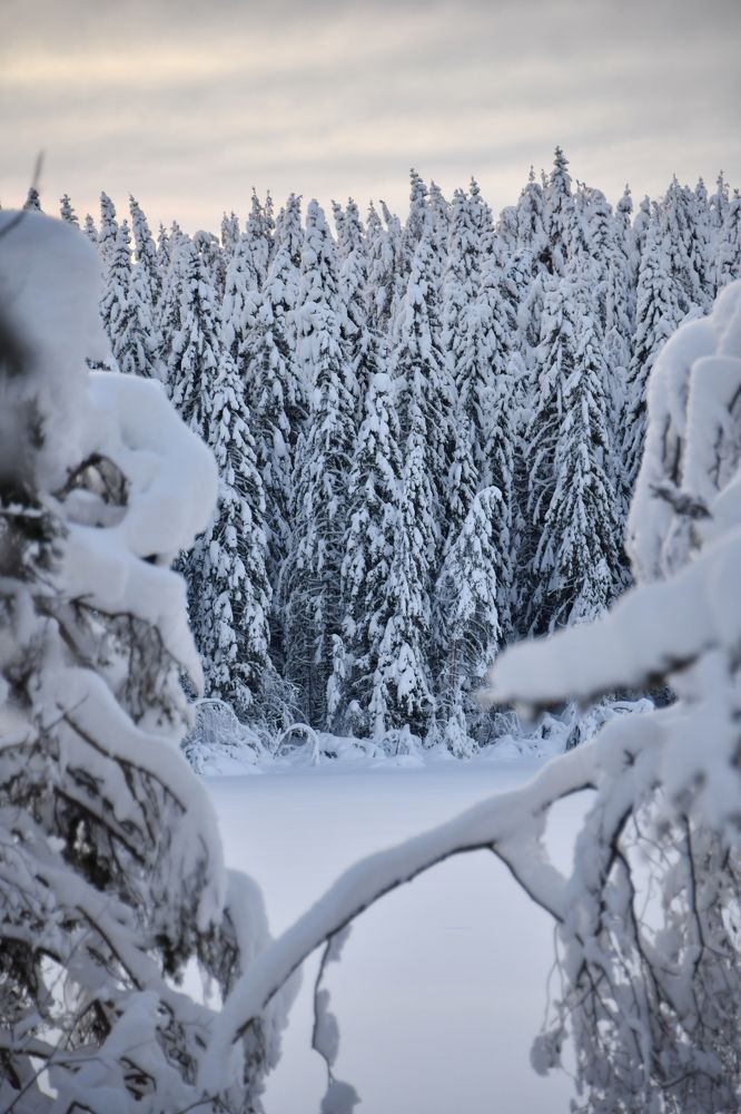 Фотография автора Anna NovaLova