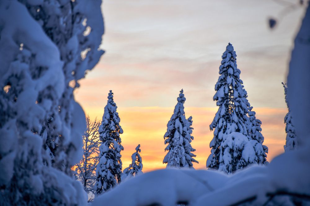 Фотография автора Anna NovaLova