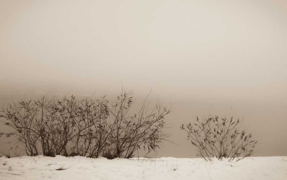 Photograph by Aleksandra Matic