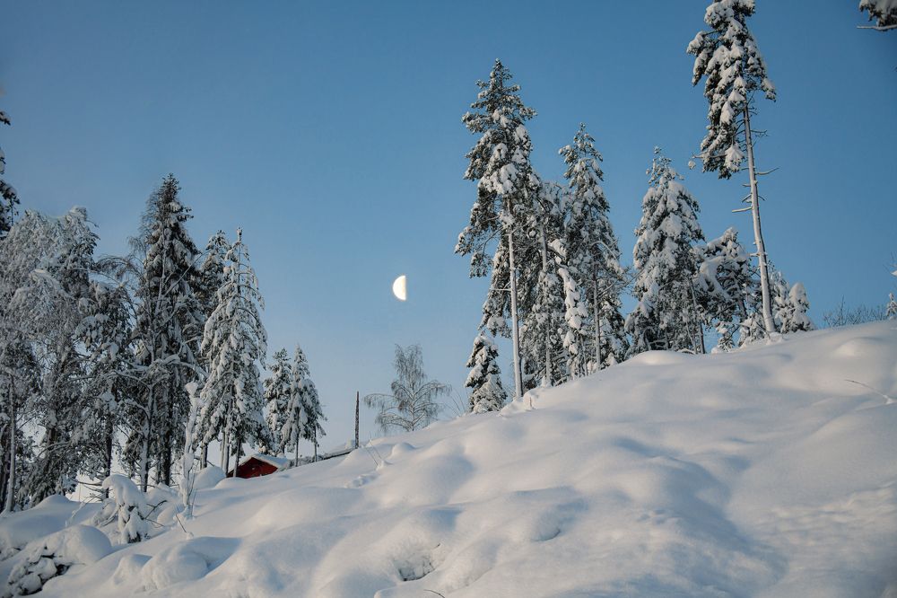 Фотография автора Anna NovaLova