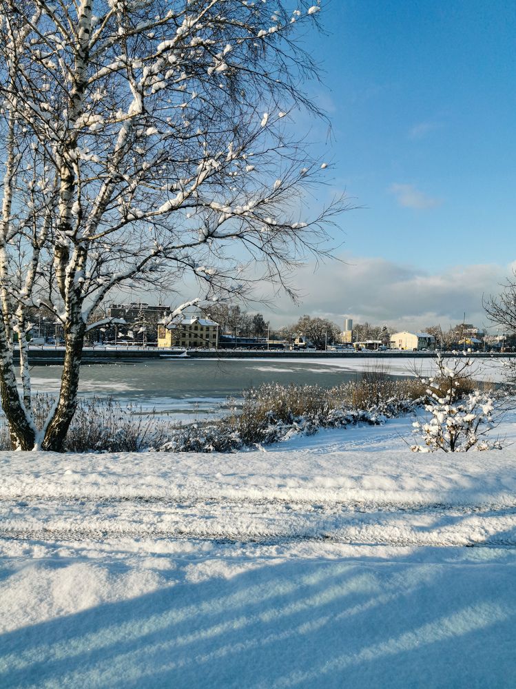 Фотография автора Дмитрий Лебедь