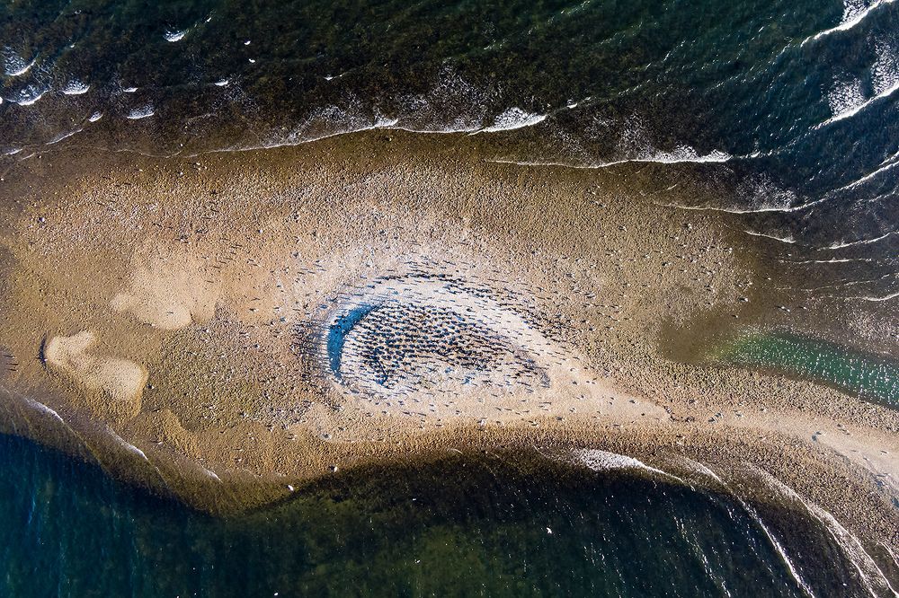 Photograph by Александр Абросимов