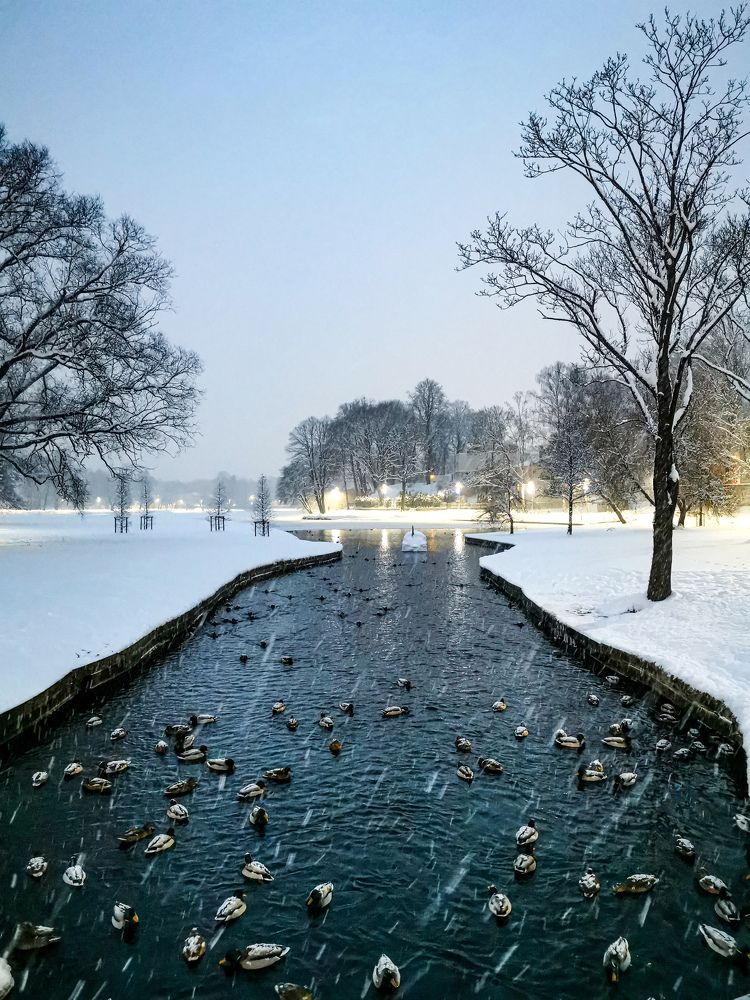 Фотография автора Дмитрий Лебедь