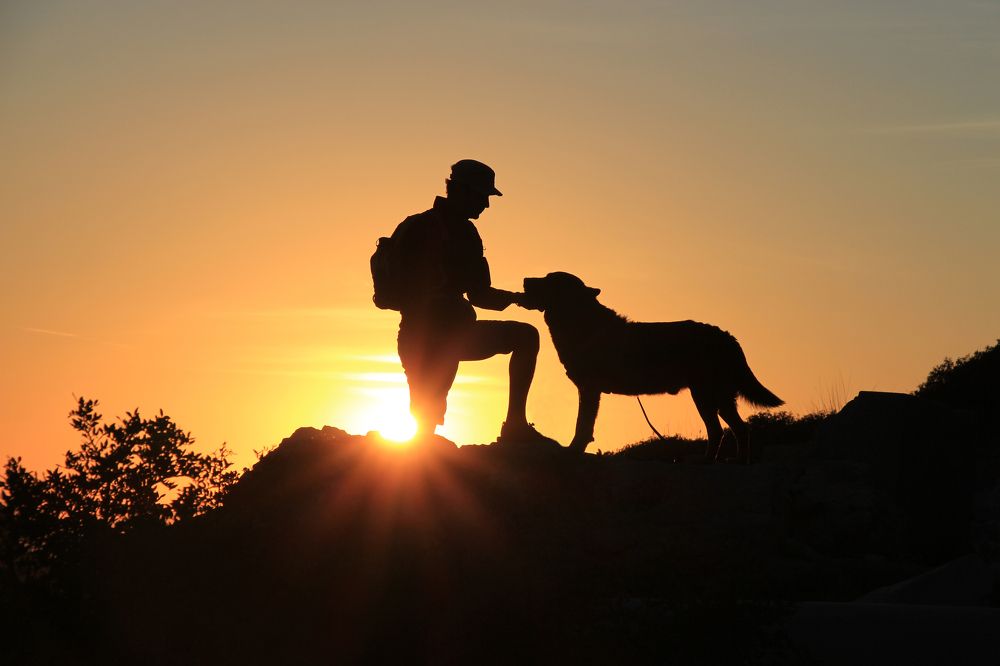 Friendship at Sunset